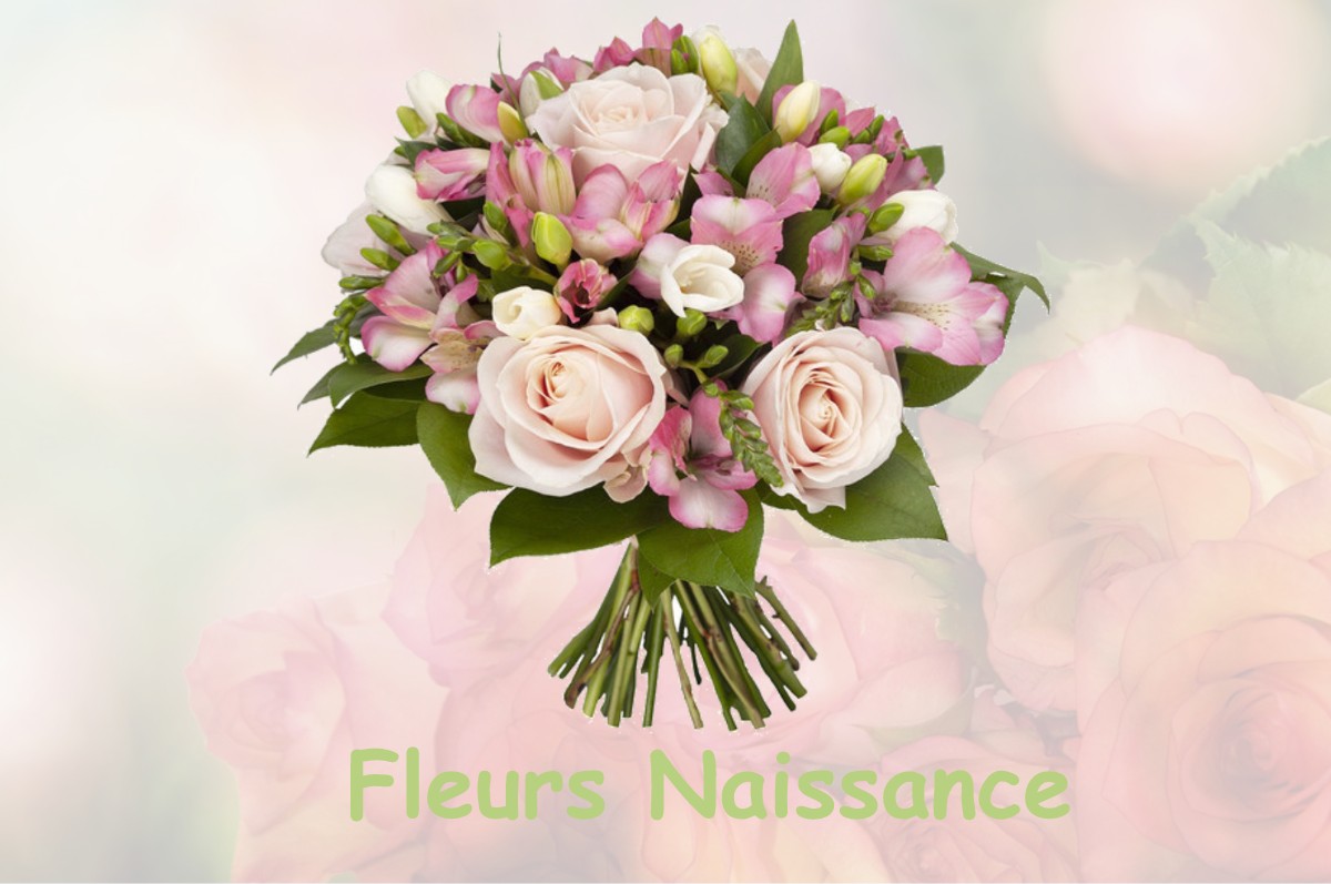 fleurs naissance SAINT-GEORGES-DE-CHESNE